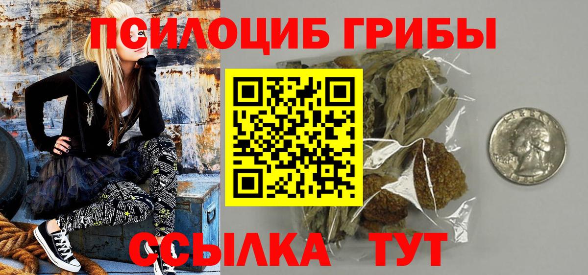 Галлюциногенные грибы Cubensis  где найти наркотики  Галлюциногенные грибы Psilocybine cubensis  Сальск  Вход с VPN 