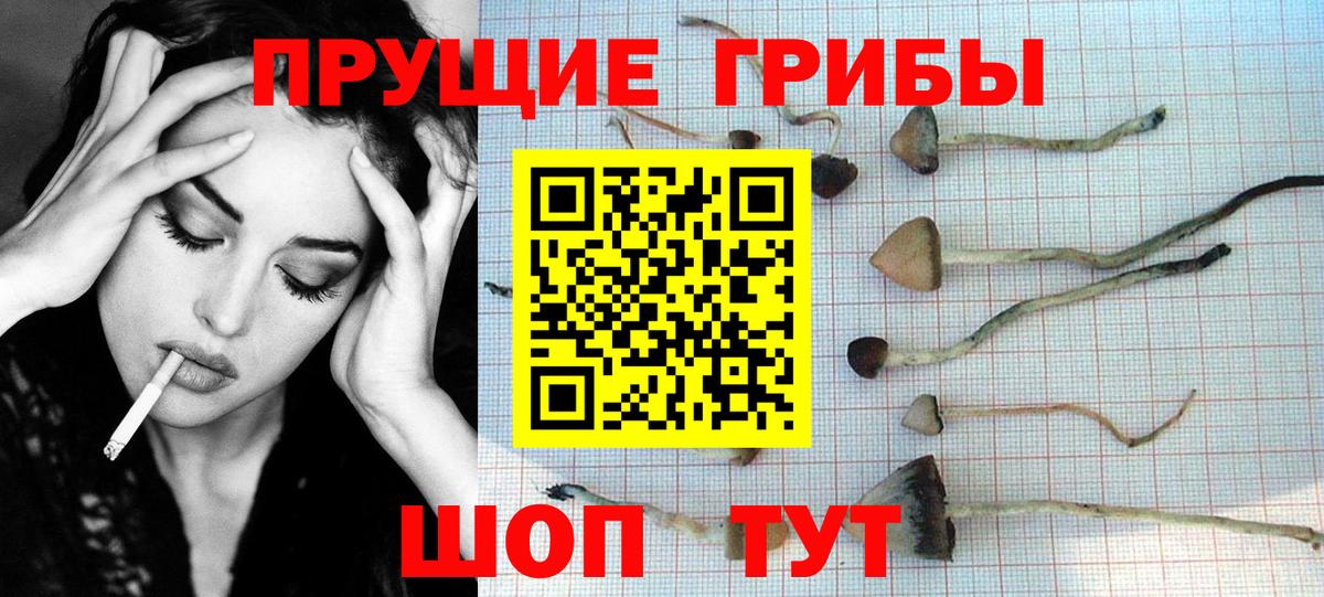 Галлюциногенные грибы Magic Shrooms Сальск